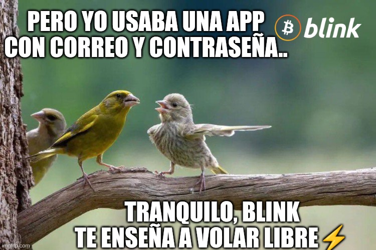 Blink meme contest 01 | PERO YO USABA UNA APP CON CORREO Y CONTRASEÑA.. TRANQUILO, BLINK TE ENSEÑA A VOLAR LIBRE⚡ | image tagged in blink meme contest 01 | made w/ Imgflip meme maker