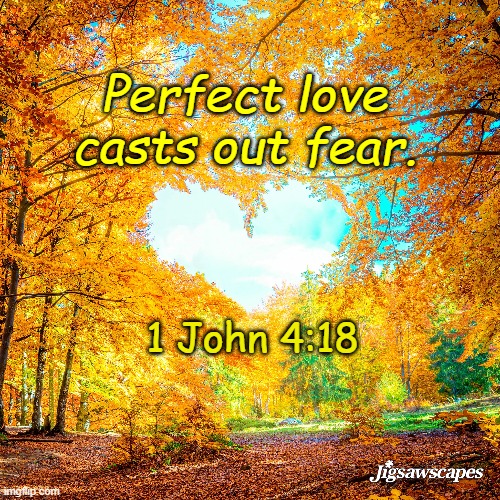 1 John 4:18 | Perfect love casts out fear. 1 John 4:18 | image tagged in love,god's love,perfect love,scriptures,1 john | made w/ Imgflip meme maker