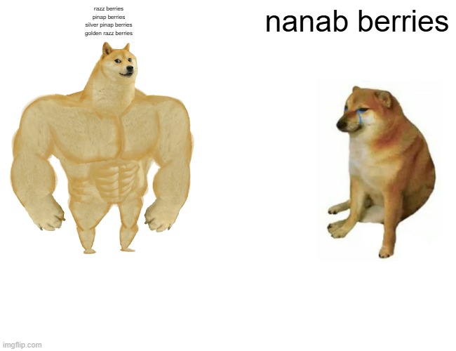Buff Doge vs. Cheems | razz berries
pinap berries
silver pinap berries
golden razz berries; nanab berries | image tagged in memes,buff doge vs cheems | made w/ Imgflip meme maker
