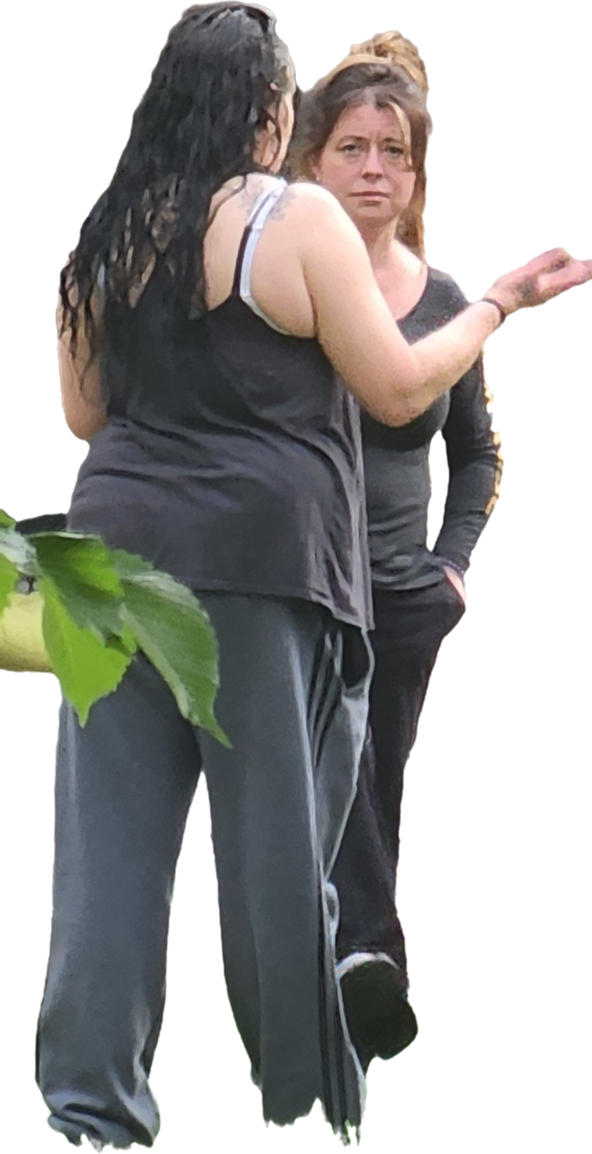 Besties Blank Meme Template