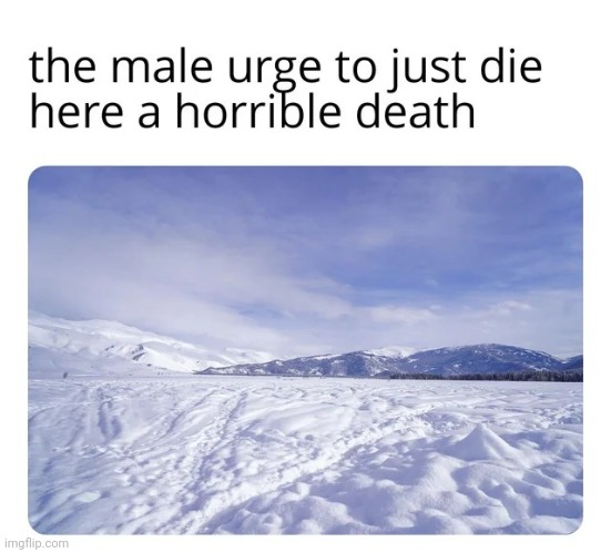 image tagged in memes,msmg,shitpost | made w/ Imgflip meme maker