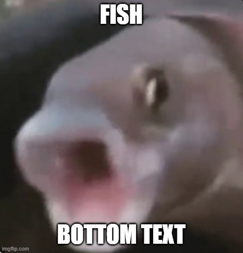 Poggers Fish | FISH BOTTOM TEXT | image tagged in poggers fish | made w/ Imgflip meme maker