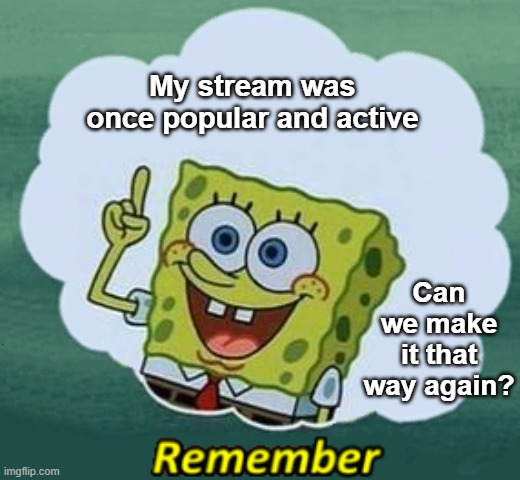 The good ol' days | My stream was once popular and active; Can we make it that way again? | image tagged in remember | made w/ Imgflip meme maker