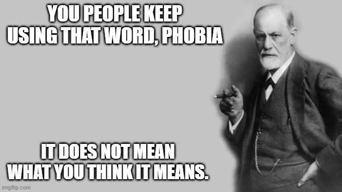 Sigmund Freud | YOU PEOPLE KEEP USING THAT WORD, PHOBIA IT DOES NOT MEAN WHAT YOU THINK IT MEANS. | image tagged in sigmund freud | made w/ Imgflip meme maker