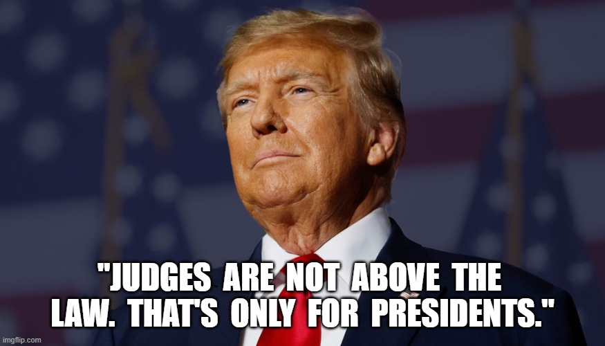 Lawless | "JUDGES  ARE  NOT  ABOVE  THE  LAW.  THAT'S  ONLY  FOR  PRESIDENTS." | image tagged in donald trump | made w/ Imgflip meme maker