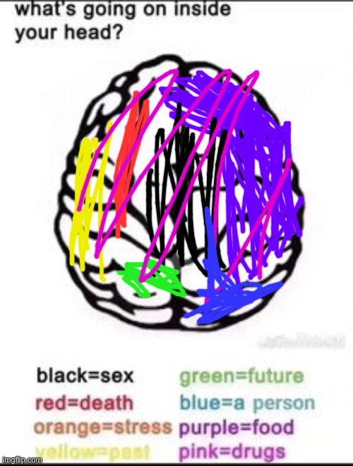 What's going on inside your head? | image tagged in what's going on inside your head | made w/ Imgflip meme maker
