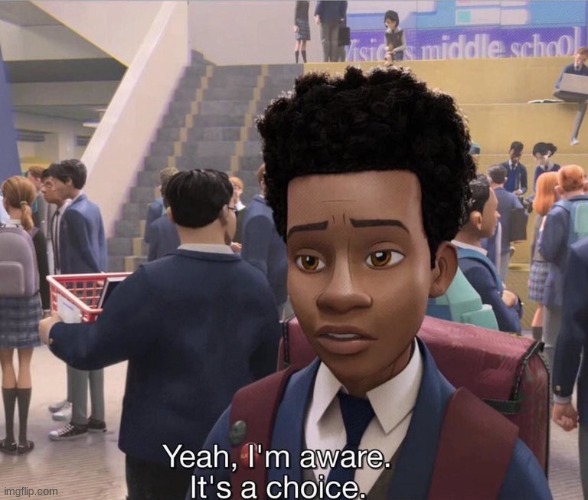 Yeah, I'm aware. It's a choice. | image tagged in yeah i'm aware it's a choice | made w/ Imgflip meme maker