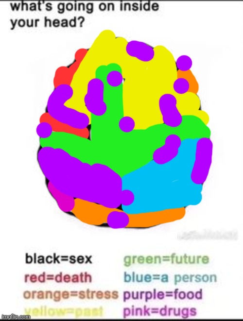 What's going on inside your head? | image tagged in what's going on inside your head | made w/ Imgflip meme maker