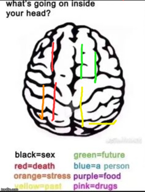 Yuh | image tagged in what's going on inside your head | made w/ Imgflip meme maker