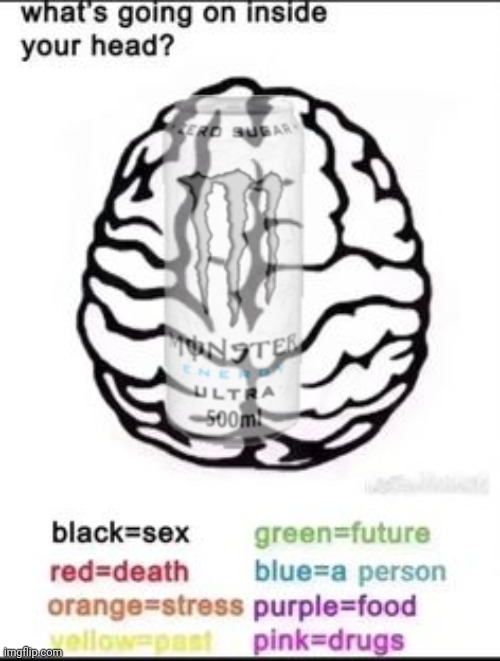 What's going on inside your head? | image tagged in what's going on inside your head | made w/ Imgflip meme maker