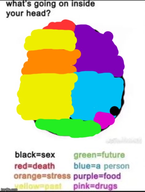 What's going on inside your head? | image tagged in what's going on inside your head | made w/ Imgflip meme maker