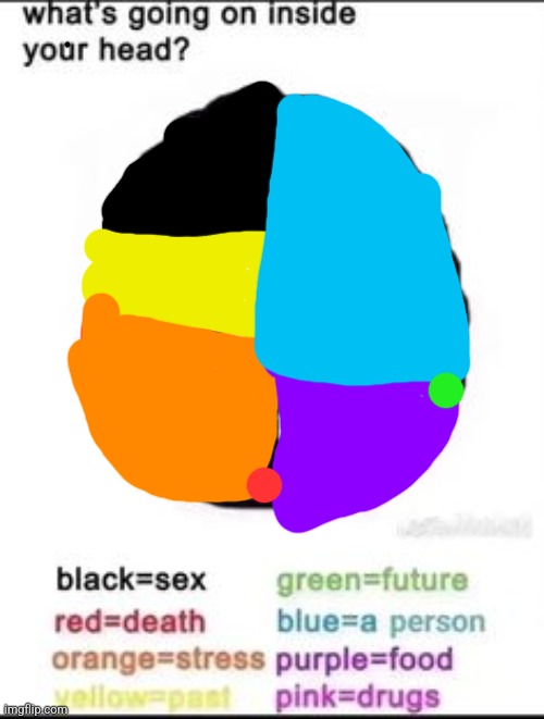 fixed the colors | image tagged in what's going on inside your head | made w/ Imgflip meme maker