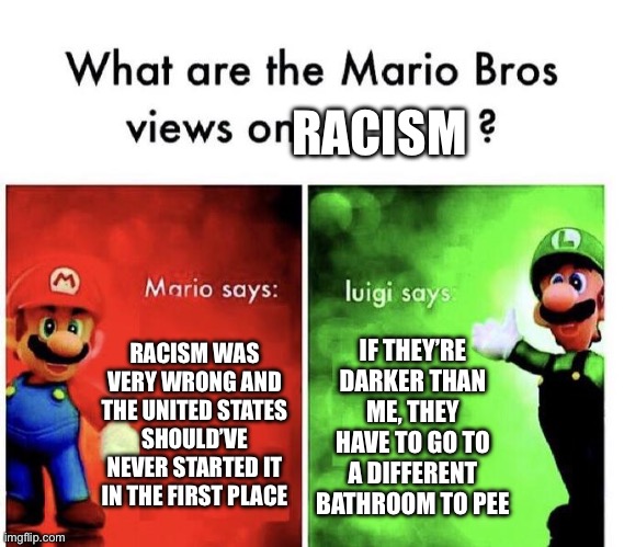 Luigi got hit in the head or something | RACISM; RACISM WAS VERY WRONG AND THE UNITED STATES SHOULD’VE NEVER STARTED IT IN THE FIRST PLACE; IF THEY’RE DARKER THAN ME, THEY HAVE TO GO TO A DIFFERENT BATHROOM TO PEE | image tagged in mario bros views,funny,fun,memes,meme,super mario | made w/ Imgflip meme maker