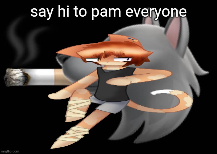 epic fucking wolf smoking a cigar | say hi to pam everyone | image tagged in epic fucking wolf smoking a cigar | made w/ Imgflip meme maker
