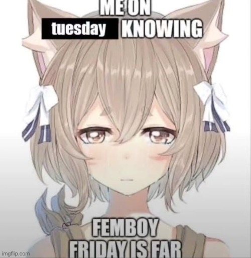 made w/ Imgflip meme maker