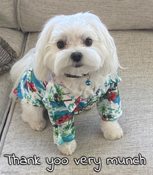 Thank yoo very munch | made w/ Imgflip meme maker
