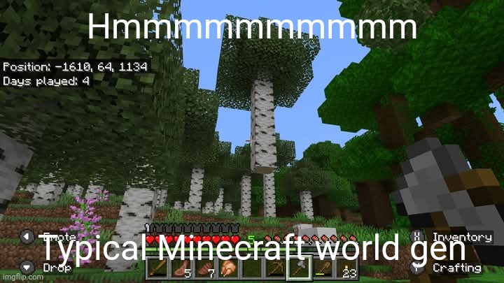Hmmmmmmmmmmm | Hmmmmmmmmmm; Typical Minecraft world gen | image tagged in minecraft,gaming,video games,nintendo switch,screenshot | made w/ Imgflip meme maker