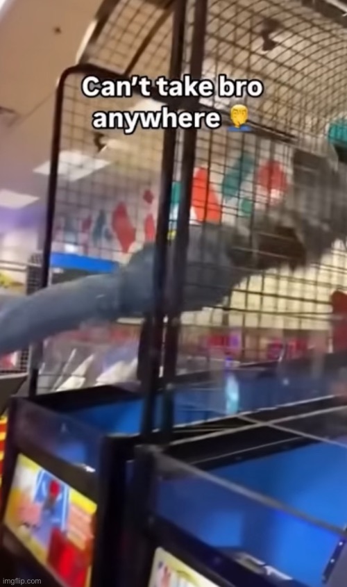 Slam dunk | made w/ Imgflip meme maker