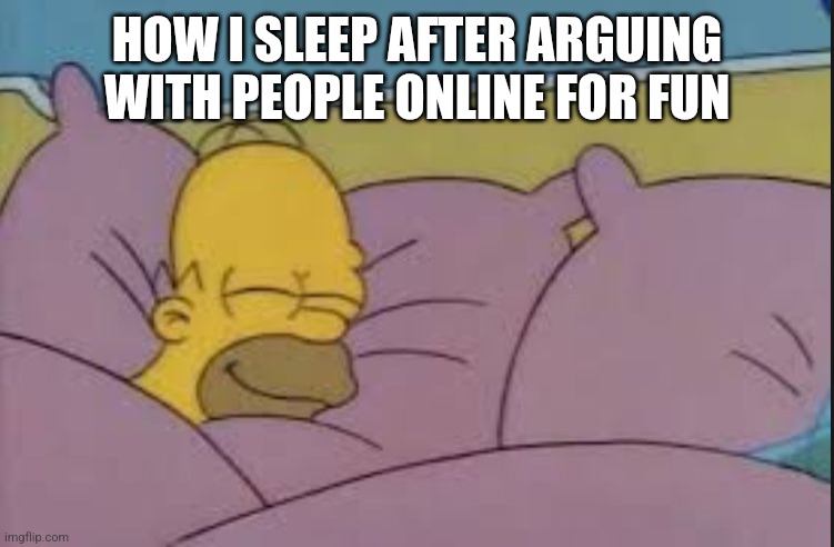 how i sleep homer simpson | HOW I SLEEP AFTER ARGUING WITH PEOPLE ONLINE FOR FUN | image tagged in how i sleep homer simpson | made w/ Imgflip meme maker
