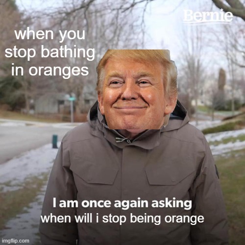 Bernie I Am Once Again Asking For Your Support | when you stop bathing in oranges; when will i stop being orange | image tagged in memes,bernie i am once again asking for your support | made w/ Imgflip meme maker