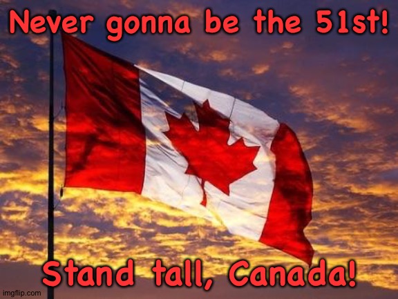 Trump oughtta just STFU. | Never gonna be the 51st! Stand tall, Canada! | image tagged in canada | made w/ Imgflip meme maker