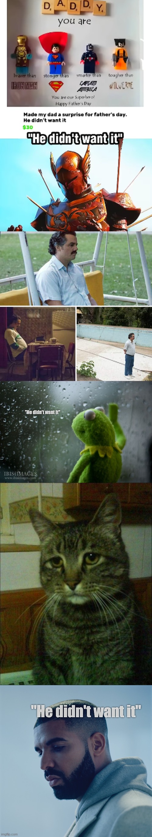 "He didn't want it" | "He didn't want it"; "He didn't want it" | image tagged in depressed cat,heartbreak,depression,he didnt want it | made w/ Imgflip meme maker