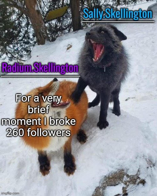 Radium and Sally temp | For a very brief moment I broke 260 followers | image tagged in radium and sally temp | made w/ Imgflip meme maker