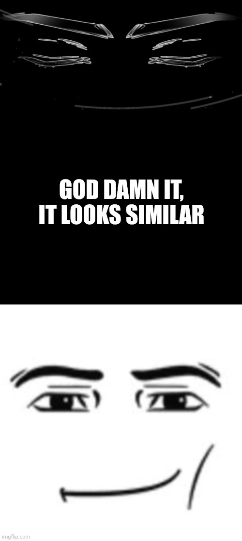 GOD DAMN IT, IT LOOKS SIMILAR | image tagged in funny | made w/ Imgflip meme maker