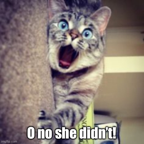O no she didn’t! | made w/ Imgflip meme maker