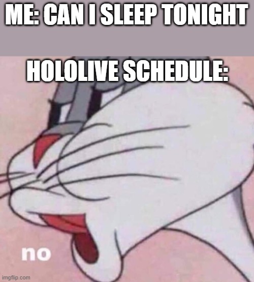 hololive schedule | ME: CAN I SLEEP TONIGHT; HOLOLIVE SCHEDULE: | image tagged in no bugs bunny | made w/ Imgflip meme maker