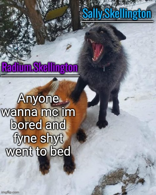 Radium and Sally temp | Anyone wanna mc im bored and fyne shyt went to bed | image tagged in radium and sally temp | made w/ Imgflip meme maker