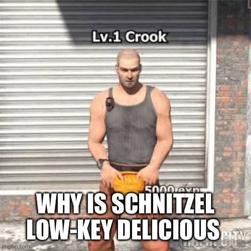 Lv 1 crook | WHY IS SCHNITZEL LOW-KEY DELICIOUS | image tagged in lv 1 crook | made w/ Imgflip meme maker