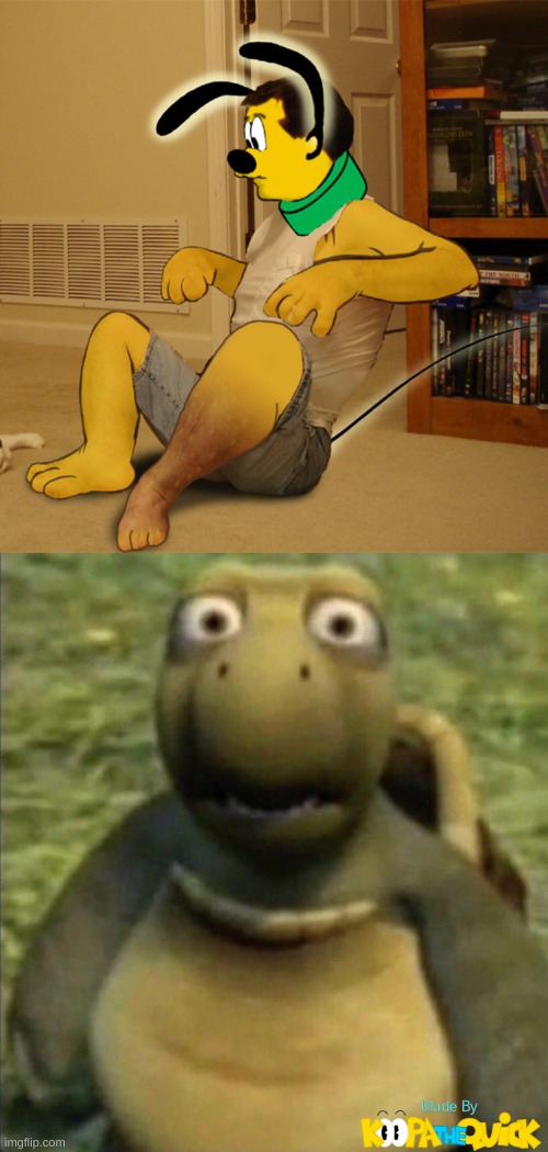 WTF Did They Do To My Boy, Pluto?! | image tagged in shocked turtle | made w/ Imgflip meme maker