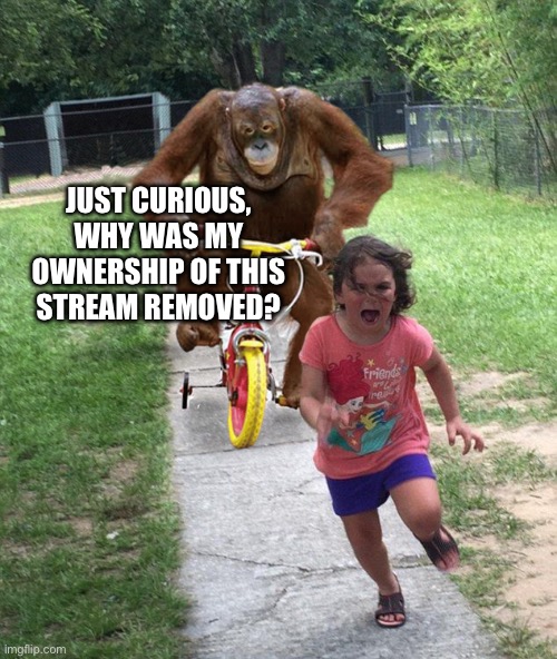 Orangutan chasing girl on a tricycle | JUST CURIOUS, WHY WAS MY OWNERSHIP OF THIS STREAM REMOVED? | image tagged in orangutan chasing girl on a tricycle | made w/ Imgflip meme maker