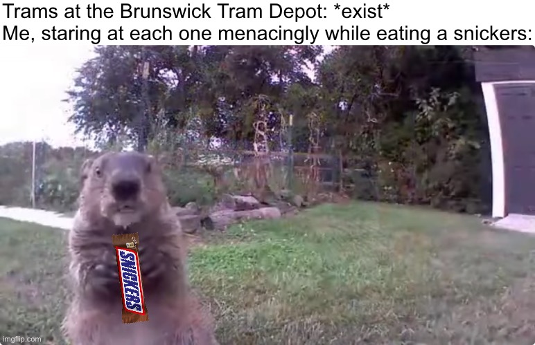 "I'm just waiting for a mate" | Trams at the Brunswick Tram Depot: *exist*
Me, staring at each one menacingly while eating a snickers: | image tagged in help me | made w/ Imgflip meme maker