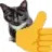 High Quality catthumb2 Blank Meme Template