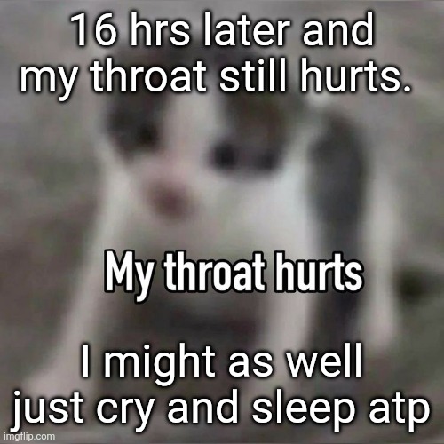 . | 16 hrs later and my throat still hurts. I might as well just cry and sleep atp | made w/ Imgflip meme maker