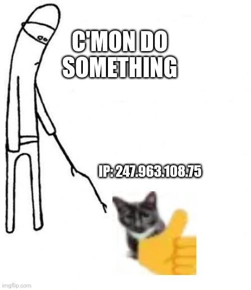 nah bro he leeked my ip and everything | C'MON DO SOMETHING; IP: 247.963.108.75 | image tagged in c'mon do something | made w/ Imgflip meme maker