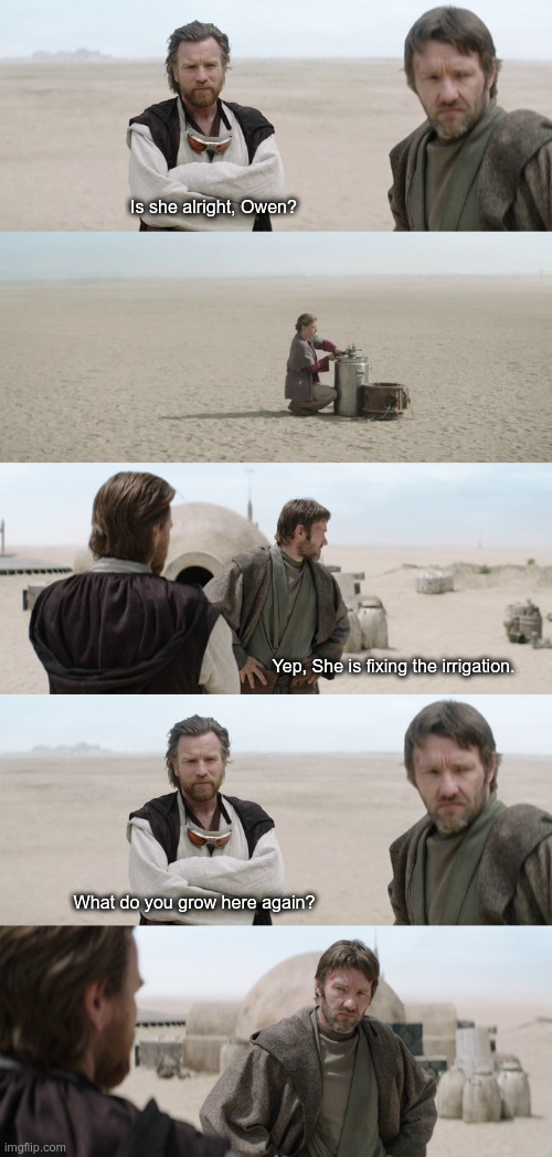 Farming on Tatuine | Is she alright, Owen? Yep, She is fixing the irrigation. What do you grow here again? | image tagged in farming on tatuine | made w/ Imgflip meme maker