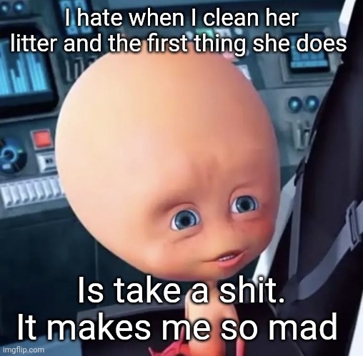 . | I hate when I clean her litter and the first thing she does; Is take a shit. It makes me so mad | made w/ Imgflip meme maker