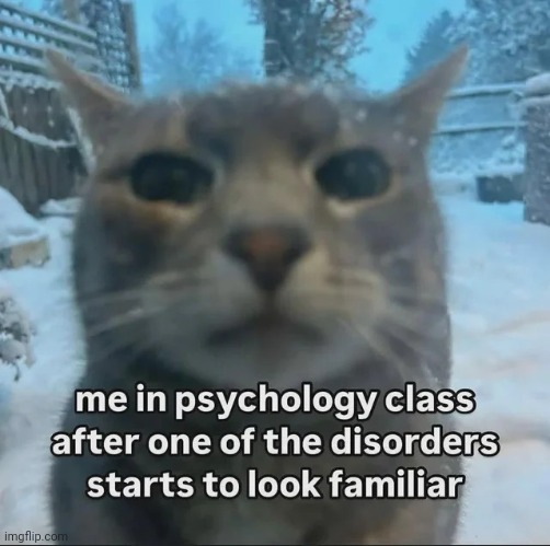 "Hey, ADHD sounds familiar" | image tagged in memes,msmg,shitpost | made w/ Imgflip meme maker