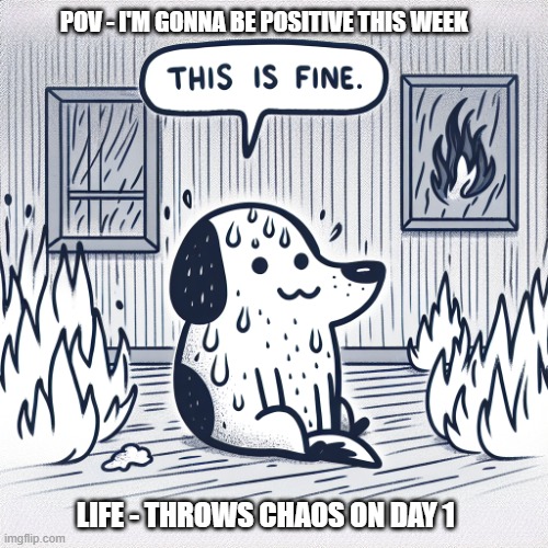 "This is fine" dog sitting in a room engulfed in flames. The dog | POV - I'M GONNA BE POSITIVE THIS WEEK; LIFE - THROWS CHAOS ON DAY 1 | image tagged in this is fine dog sitting in a room engulfed in flames the dog | made w/ Imgflip meme maker