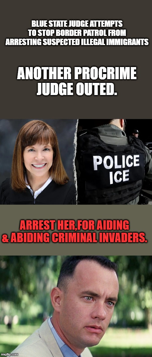 BLUE STATE JUDGE ATTEMPTS TO STOP BORDER PATROL FROM ARRESTING SUSPECTED ILLEGAL IMMIGRANTS; ANOTHER PROCRIME JUDGE OUTED. ARREST HER,FOR AIDING & ABIDING CRIMINAL INVADERS. | image tagged in memes,and just like that | made w/ Imgflip meme maker