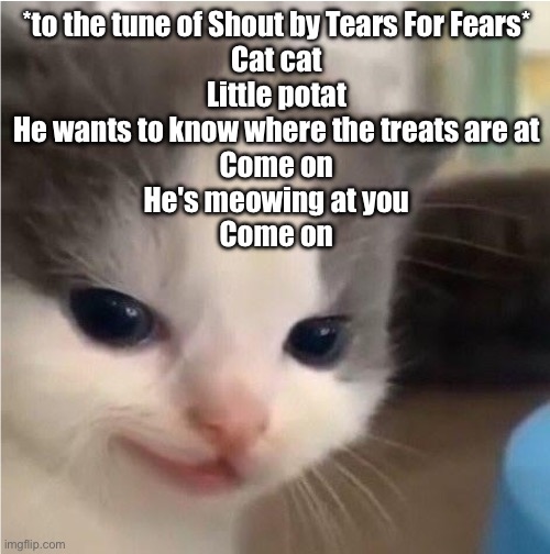 Shout | *to the tune of Shout by Tears For Fears*
Cat cat
Little potat
He wants to know where the treats are at
Come on
He's meowing at you
Come on | image tagged in hehe cat,shouting | made w/ Imgflip meme maker
