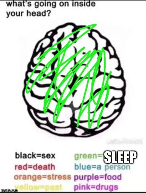 What's going on inside your head? | SLEEP | image tagged in what's going on inside your head | made w/ Imgflip meme maker