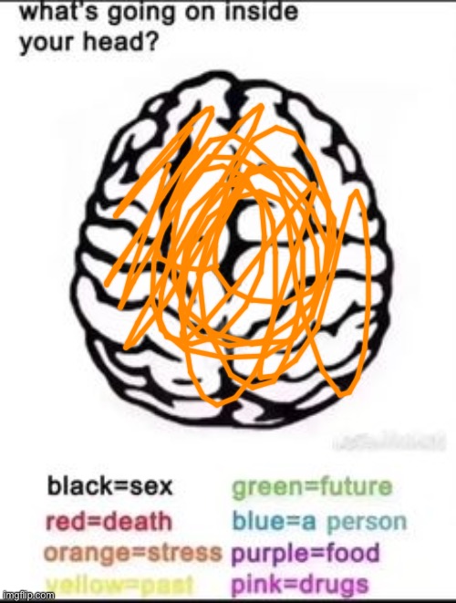 School life is stressful, OK? | image tagged in what's going on inside your head | made w/ Imgflip meme maker