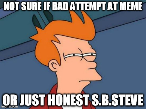 Futurama Fry Meme | NOT SURE IF BAD ATTEMPT AT MEME OR JUST HONEST S.B.STEVE | image tagged in memes,futurama fry | made w/ Imgflip meme maker