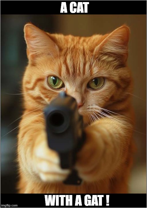An Old Time Gangster Cat ! | A CAT; WITH A GAT ! | image tagged in cats,gangster,gat,slang,gun | made w/ Imgflip meme maker