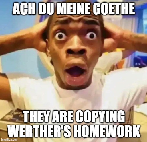 Shocked black guy | ACH DU MEINE GOETHE THEY ARE COPYING WERTHER'S HOMEWORK | image tagged in shocked black guy | made w/ Imgflip meme maker