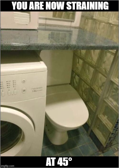 A Certain Amount of Flexibility Is Required ! | YOU ARE NOW STRAINING; AT 45° | image tagged in toilet,flexibility,straining,dark humour | made w/ Imgflip meme maker